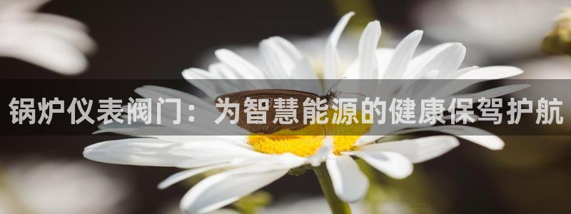 清远顺盈娱乐公司