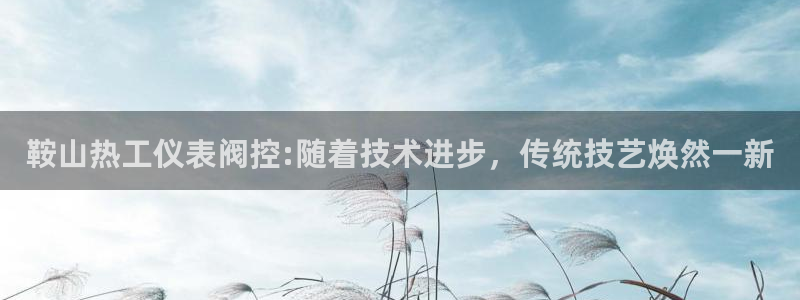 顺盈娱乐下载手机版