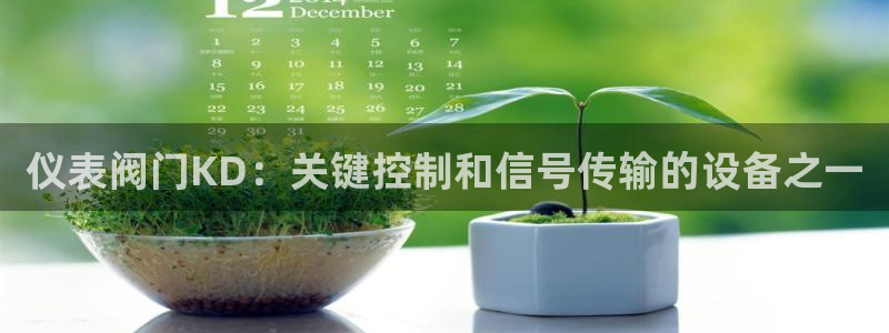 顺盈娱乐主管=天神779O3