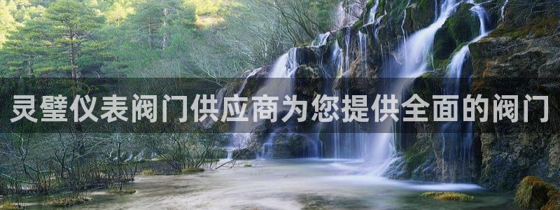 顺盈娱乐下载手机版官网