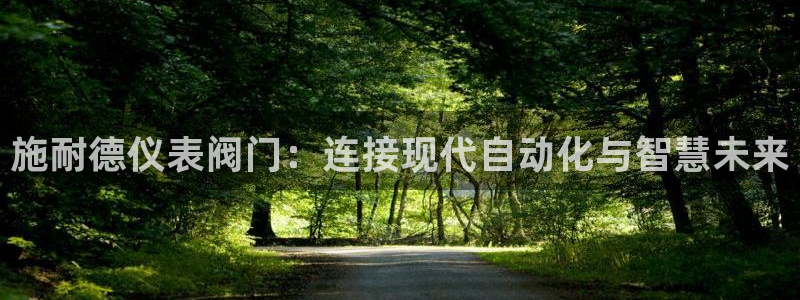 顺盈娱乐注册平台官网