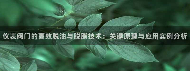 顺盈有什么娱乐场所