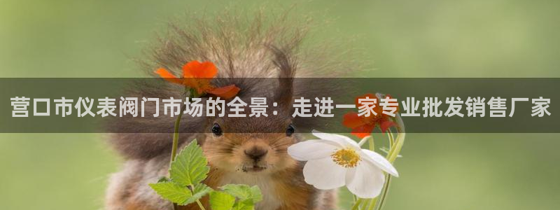 顺盈娱乐qv87555