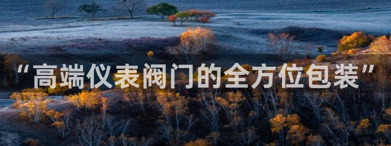 顺盈娱乐322901
