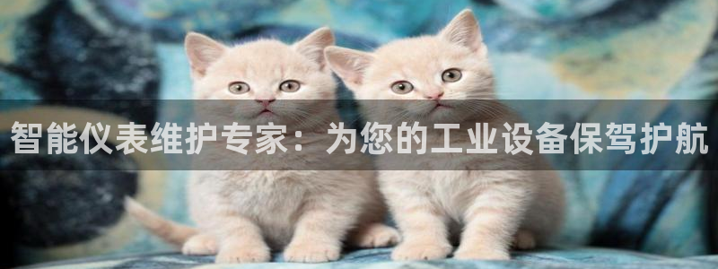 顺盈娱乐过拔7276O