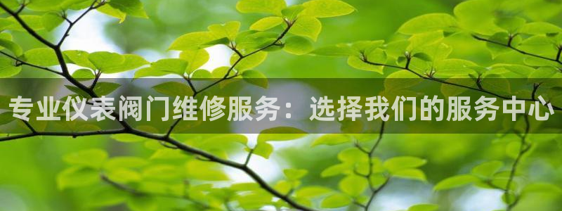 顺盈娱乐主管右原判官333OO